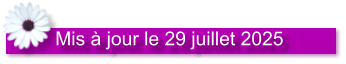Mis à jour le 29 juillet 2025